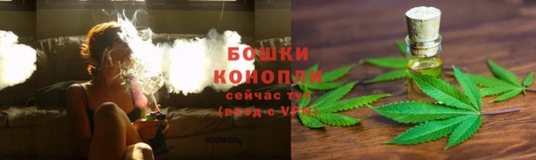 PSILOCYBIN Вязьма