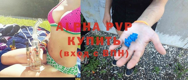 PSILOCYBIN Вязьма