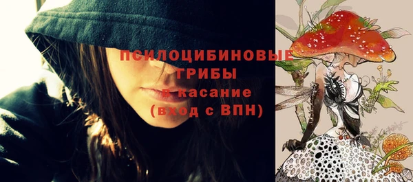 МДМА Гвардейск