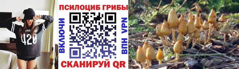 Псилоцибиновые грибы Cubensis  ссылка на мегу зеркало  Гаврилов Посад  магазин  наркотиков 